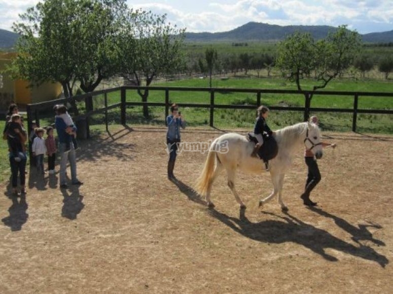 alexis bianca recommends Juan El Caballo Age